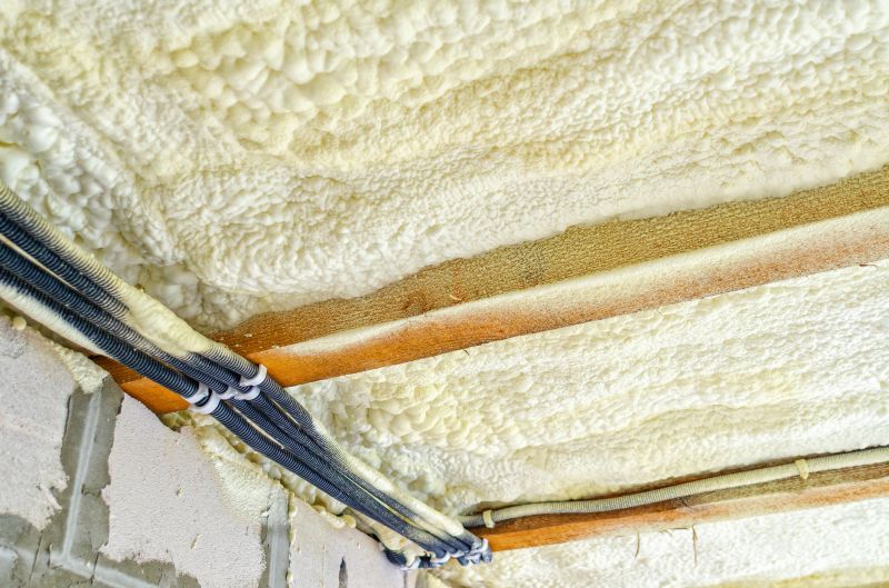 Ceiling Insulation Service