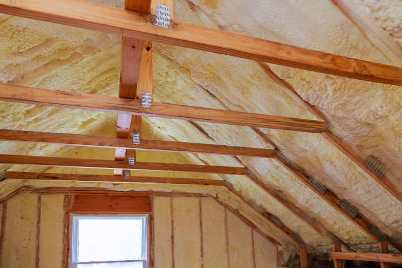 Attic Insulation Service detail